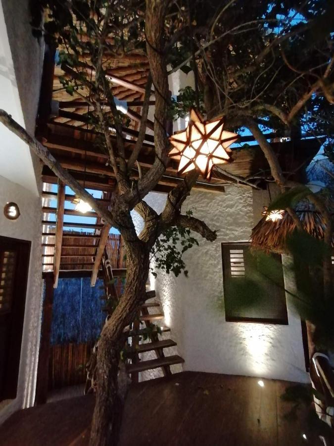 ホテル Casa Mech ホルボックス島 エクステリア 写真