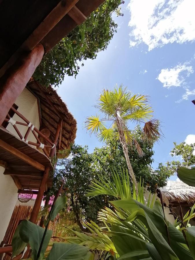 ホテル Casa Mech ホルボックス島 エクステリア 写真