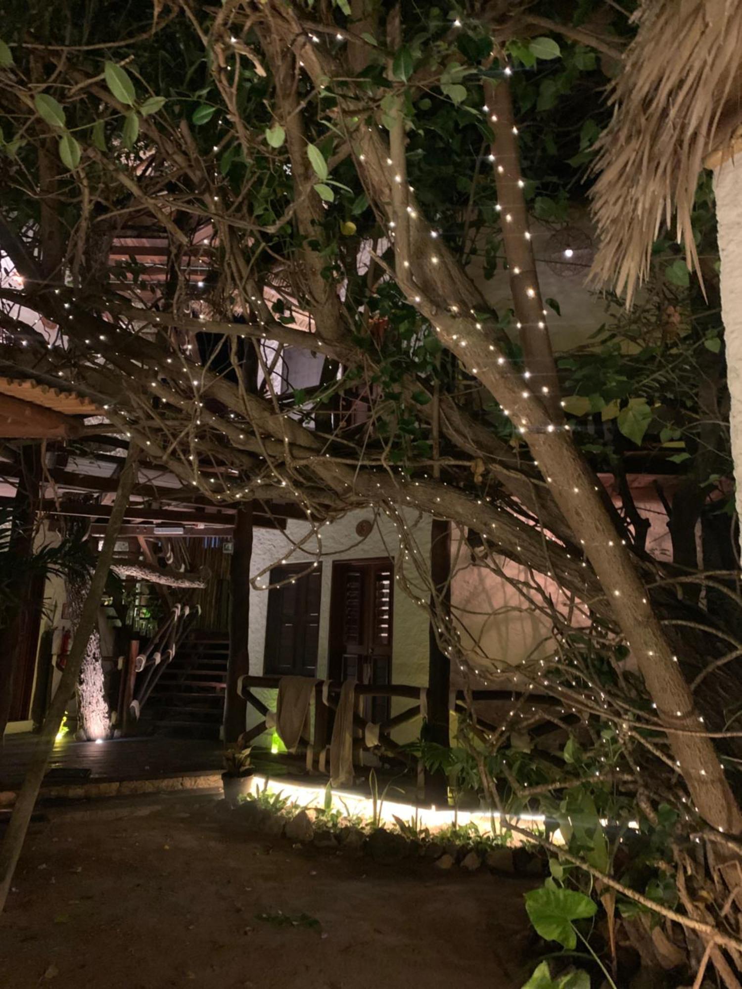 ホテル Casa Mech ホルボックス島 エクステリア 写真